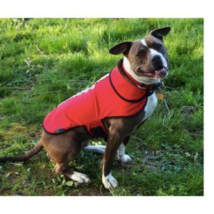 🥳HP! LED Dog Jacket